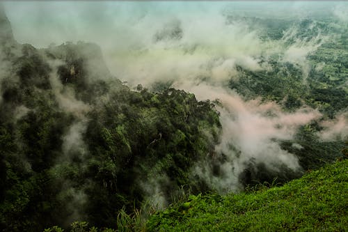 bulutlar, musonlar, yeşillik içeren Ücretsiz stok fotoğraf