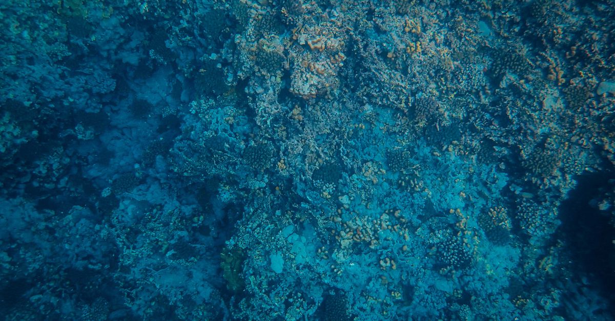 La presión extrema en el abismo Challenger y sus efectos en la exploración humana