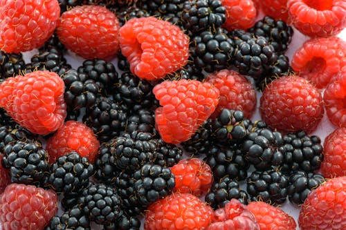 Δωρεάν στοκ φωτογραφιών με blackberries, blackberry, βιταμίνες