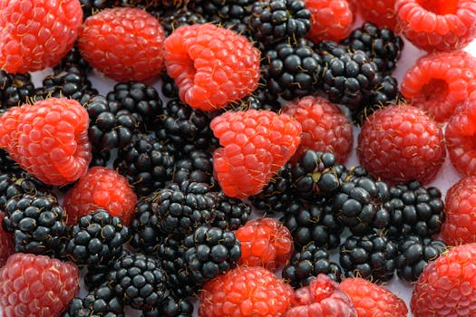 Vibrant close-up of fresh raspberries and blackberries, showcasing natural sweetness and healthy nutrition.