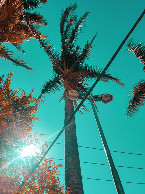 Free Blue sky Stock Photo