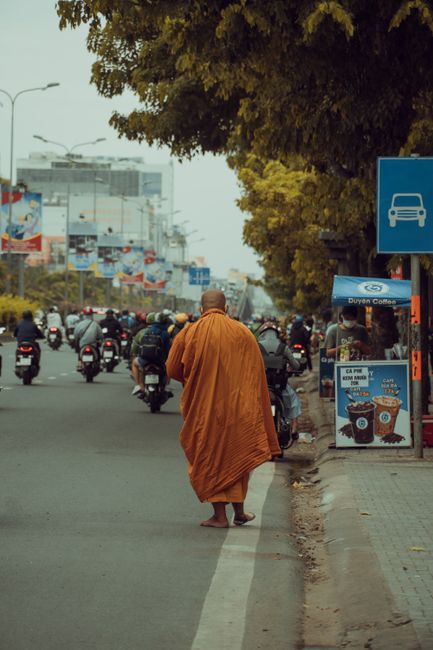 Embracing the Chaos: Finding Peace in the Traffic Embracing the Chaos: Finding Peace in the Traffic