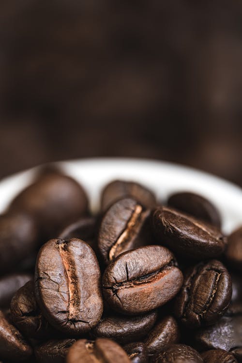 Close-up of Roasted Coffee Beans 