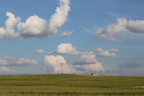 Imagine de stoc gratuită din câmp, la țară, peisaj