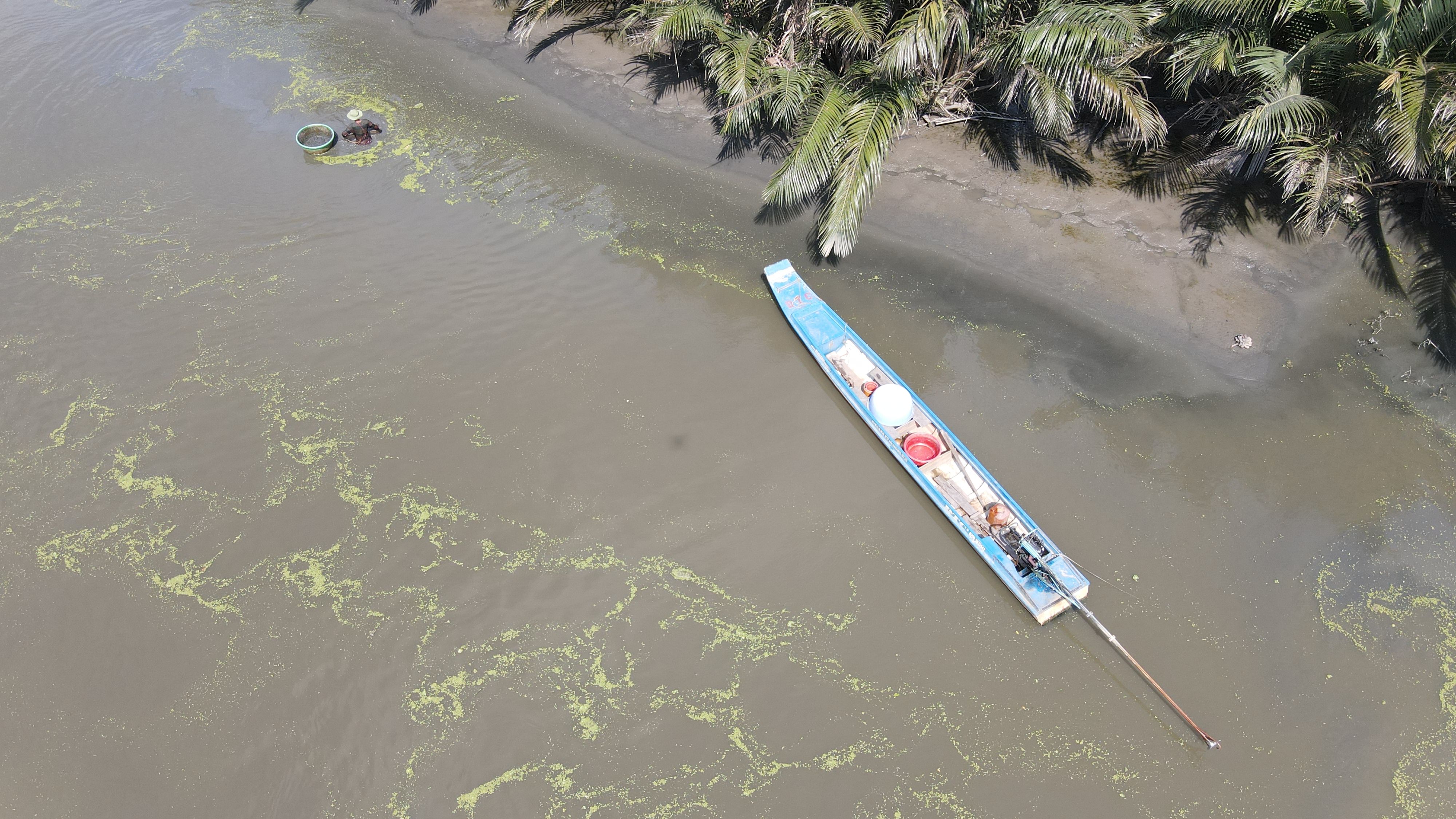 Sempat Bergulat dengan Buaya, Pekerja Rumput Laut di Nunukan Berhasil Diselamatkan Warga