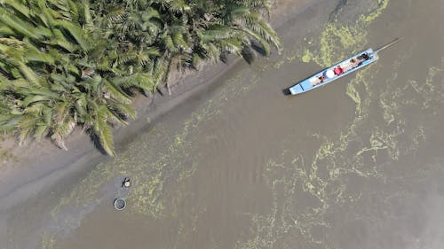 Darmowe zdjęcie z galerii z drzewo palmowe, fotografia lotnicza, łódź
