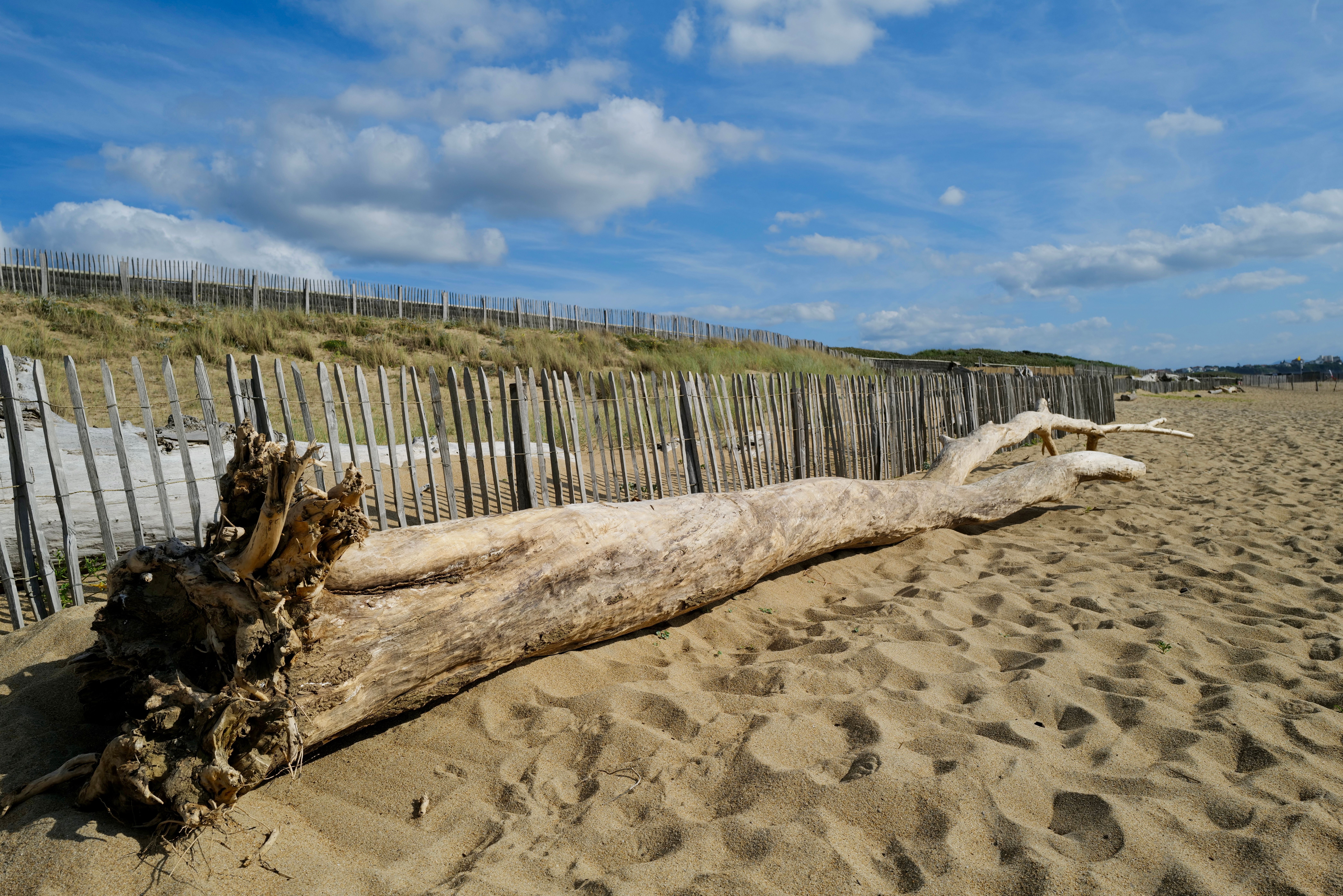 Plage d'Hourtin — photo by Thierry Martine