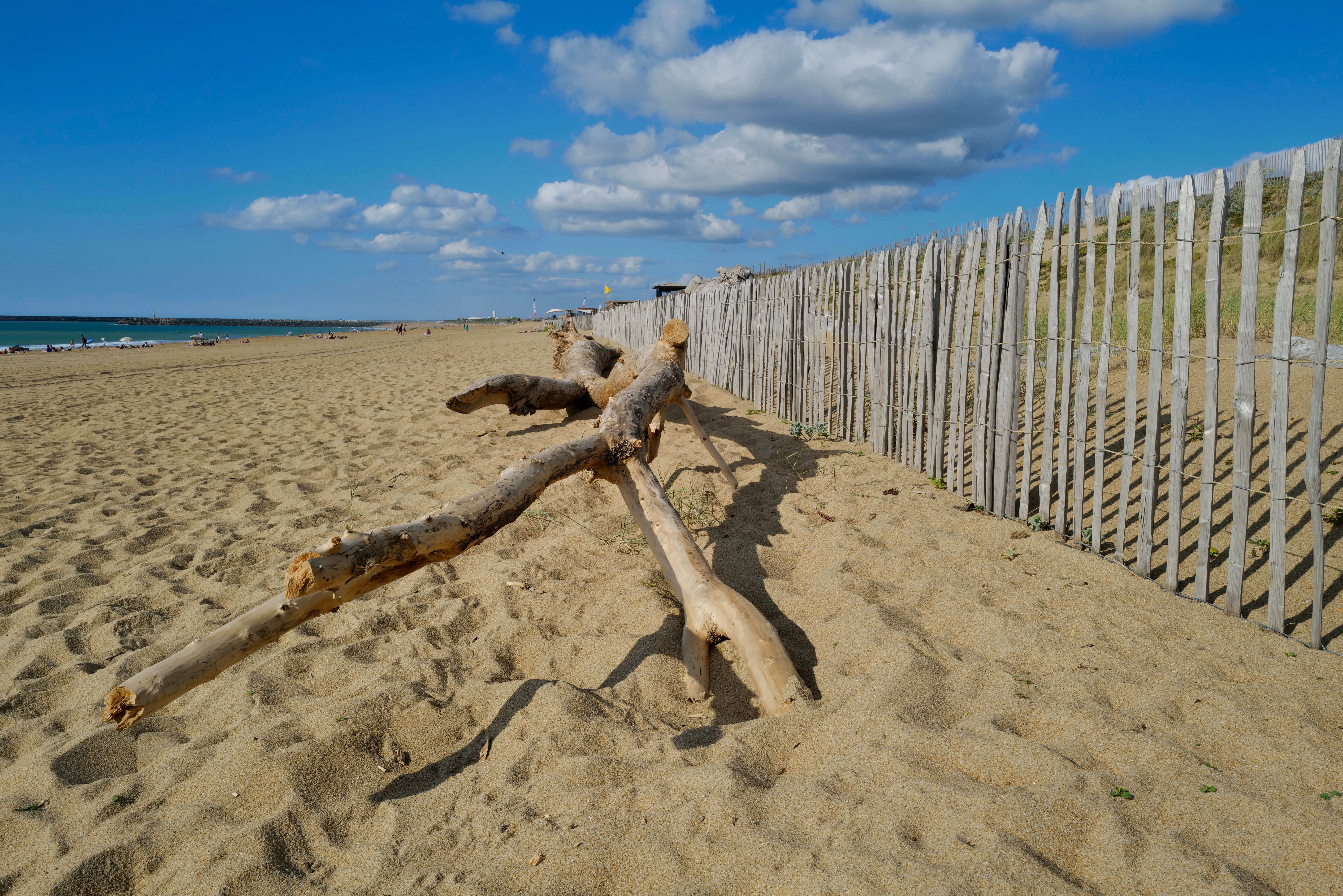 Plage d'Hourtin view 3