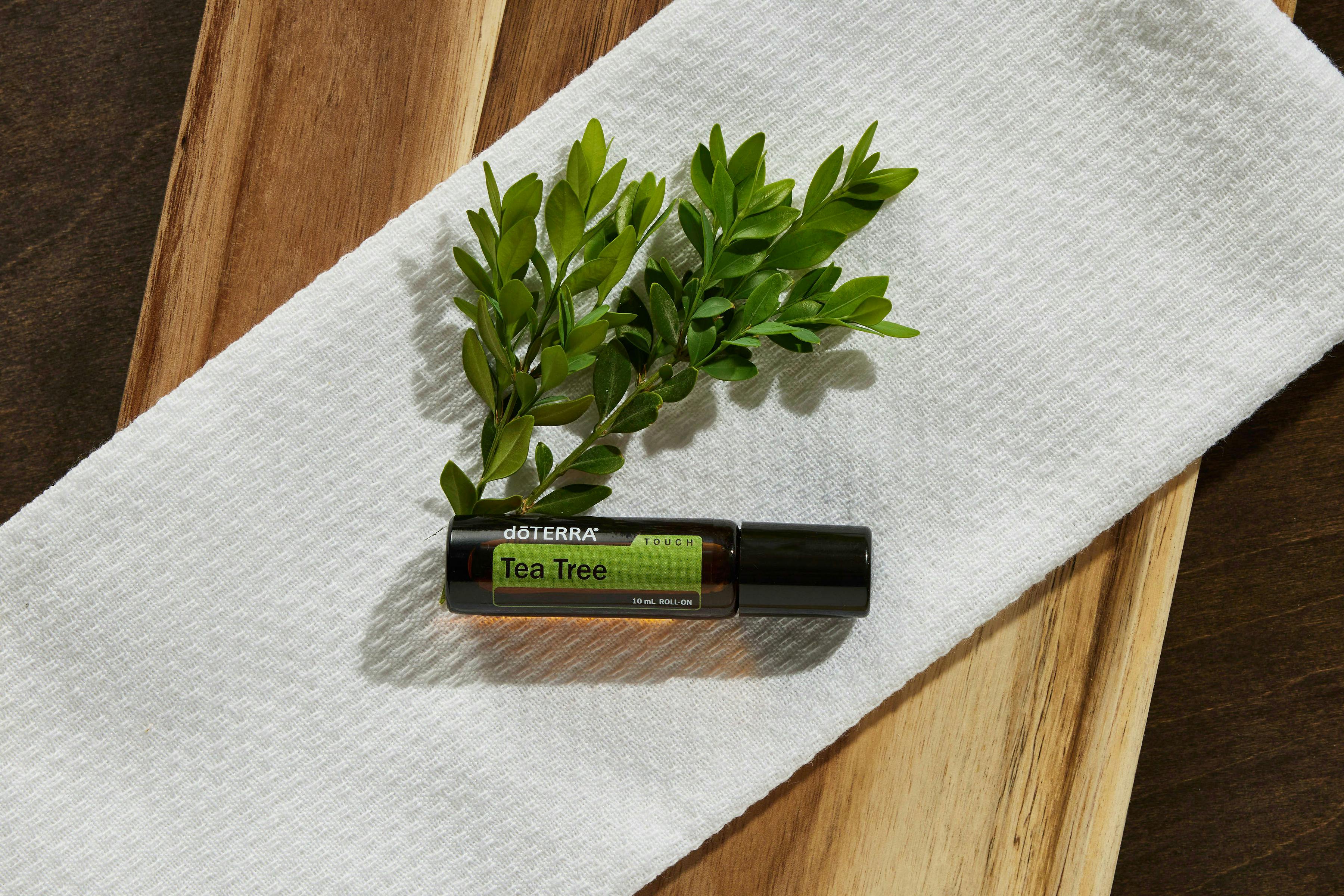 Free A Tea Tree Oil on a White Towel Stock Photo