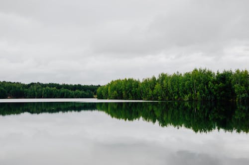 Foto stok gratis alam, awan, danau