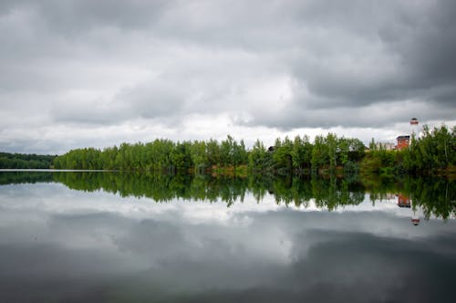 Kostenloses Stock Foto zu bäume, bedeckt, natur