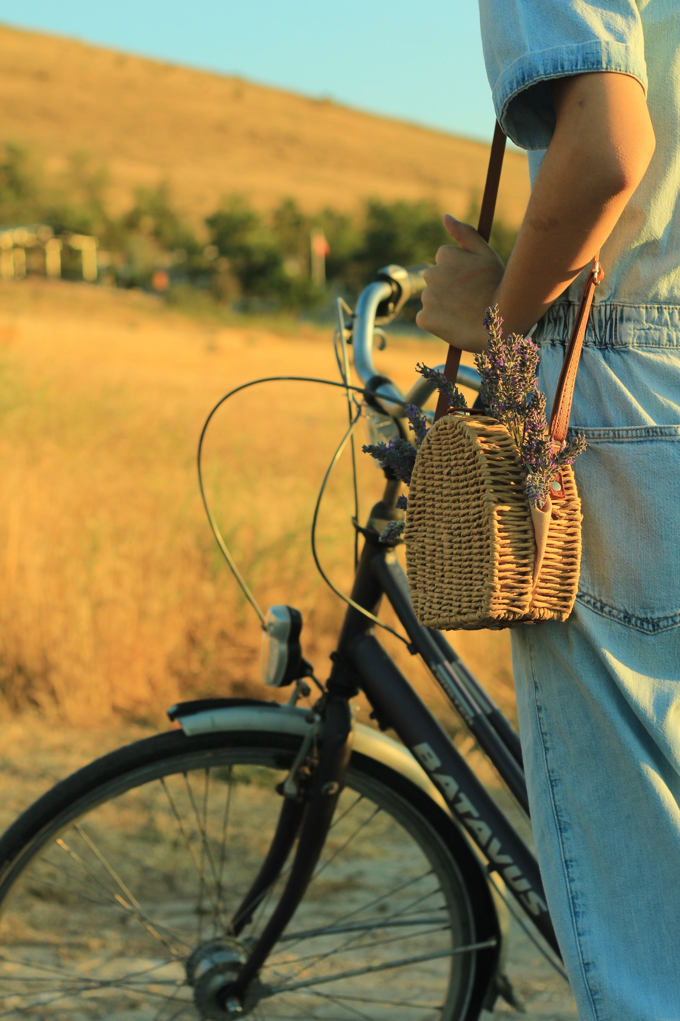 Cruiser Bicycle Photos, Download The BEST Free Cruiser Bicycle Stock ...