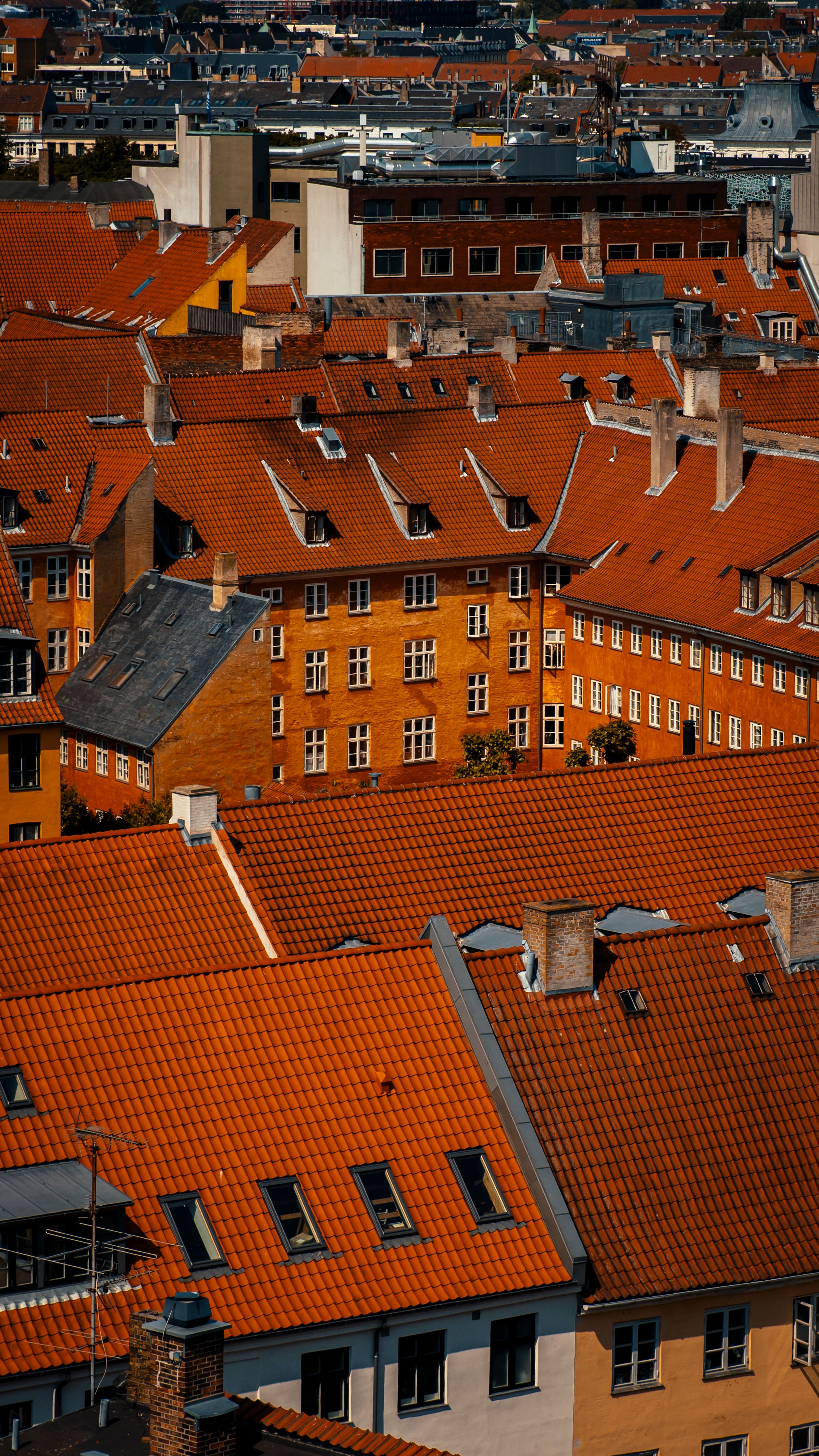 Rooftops of Copenhagen · Free Stock Photo