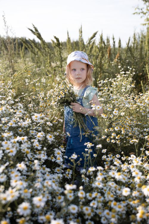 Free A young girl in a floral field holding a chamomile bouquet, exuding a serene rural charm. Stock Photo