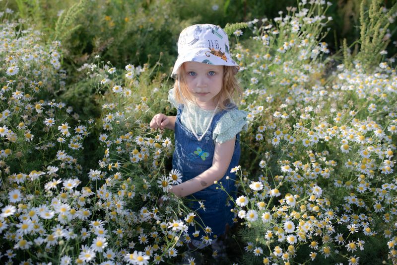 Child among daisies in a summer meadow, by iddea photo on Pexels