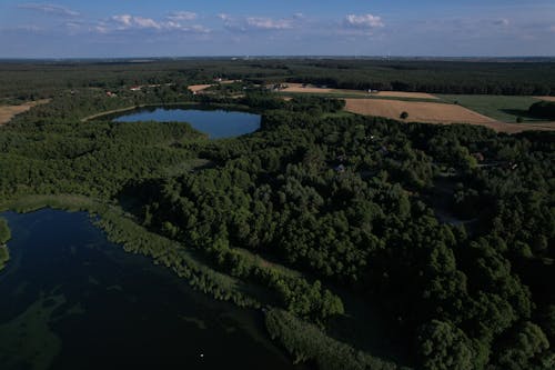 Aerial View of Forest, Lakes and Fields 