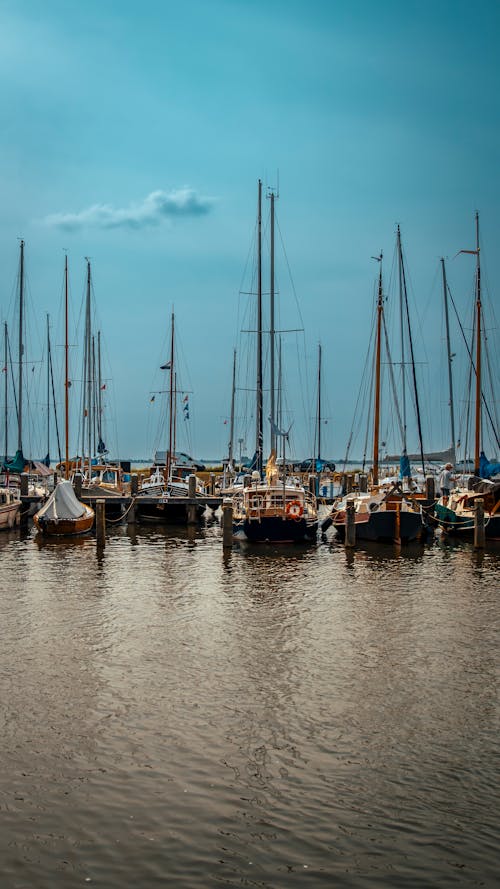 Yachts Moored in Marina