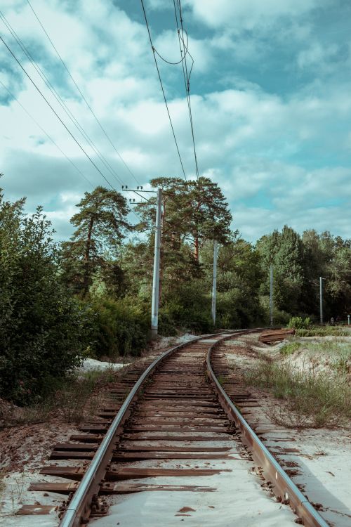 Free Scenic view of curved railway tracks surrounded by lush green forest under a blue sky. Stock Photo