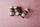 magnesium