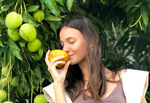 Free Mango Tree Stock Photo