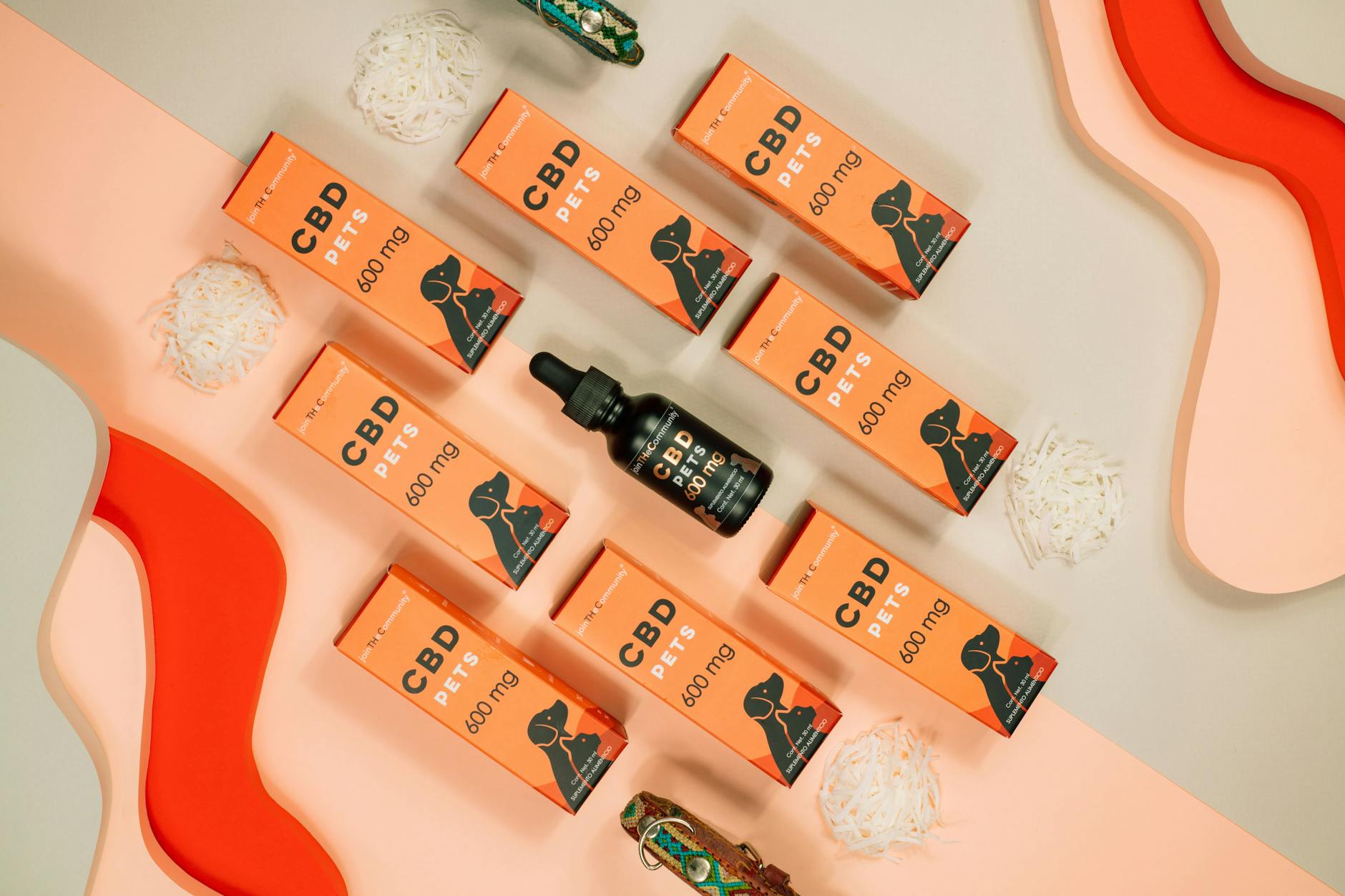 Vibrant flat lay of CBD pet products arranged creatively with colorful background in Mexico City.
