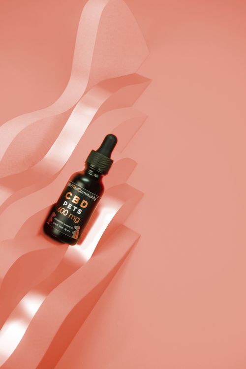 Free CBD oil bottle styled on a wavy salmon background, top view and minimalist design. Stock Photo