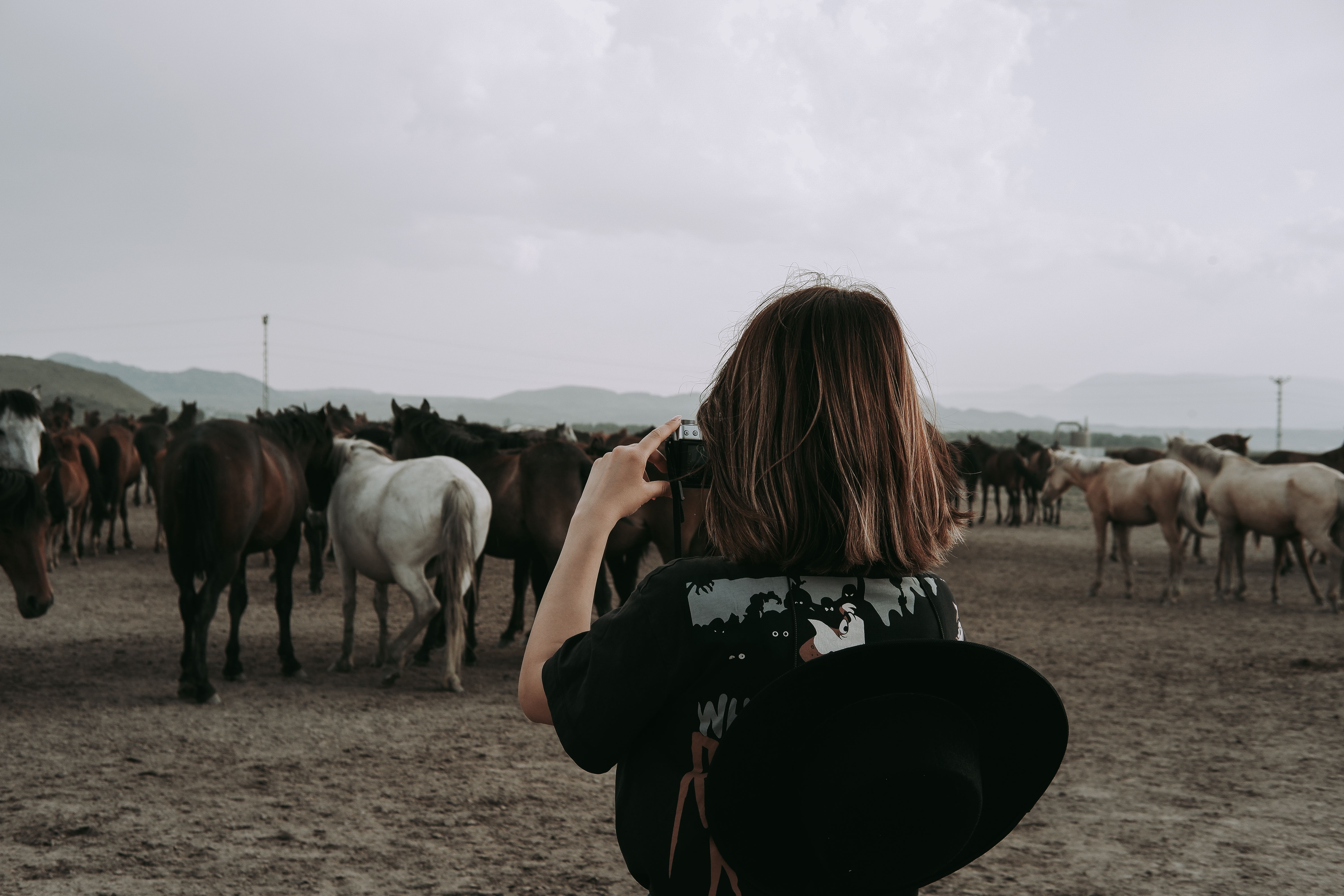 A woman capturing a herd of horses on camera in a picturesque countryside landscape.