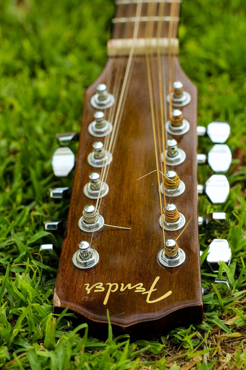 Guitar Pics Photos, Download The BEST Free Guitar Pics Stock Photos ...