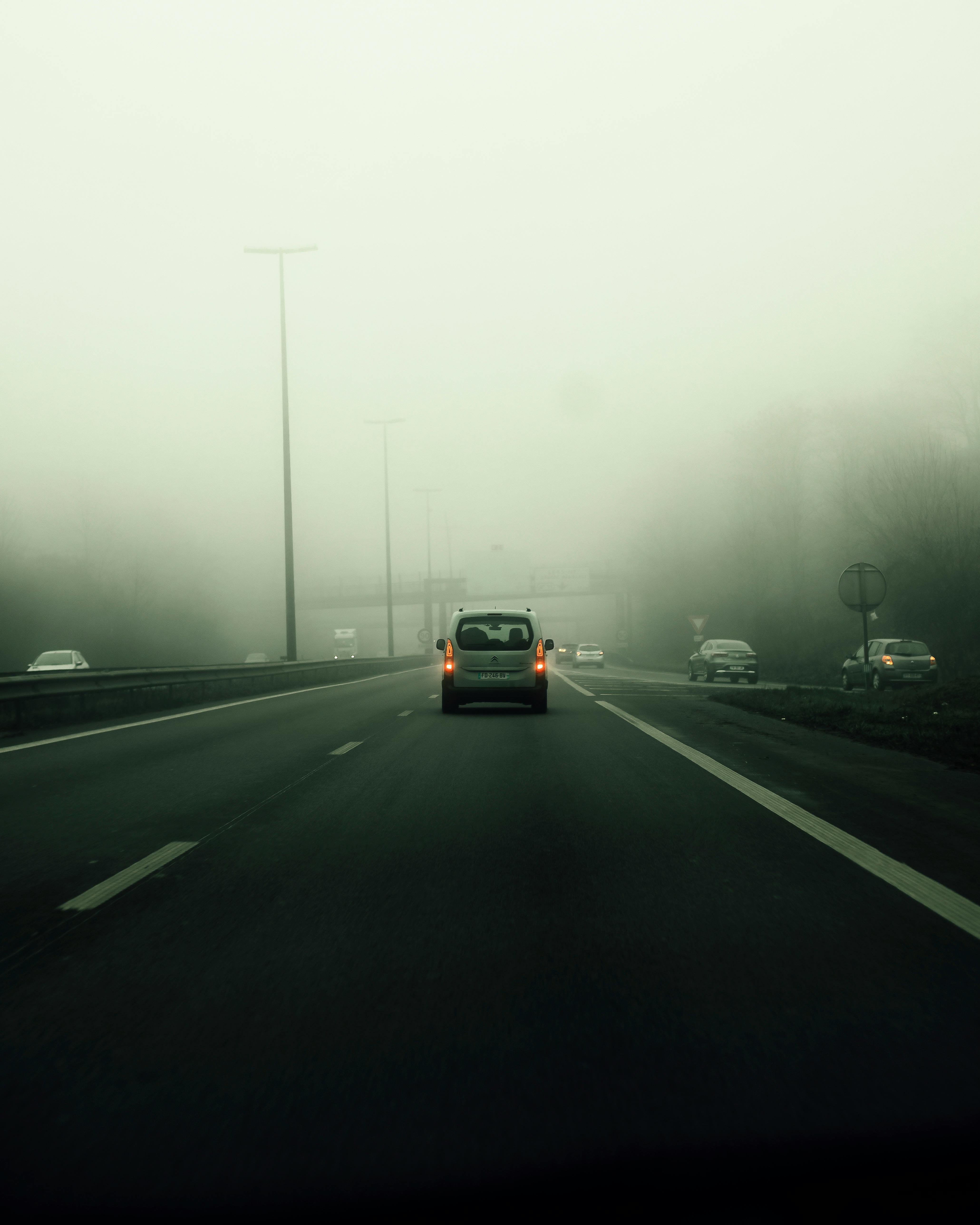 cars on a highway in dense fog