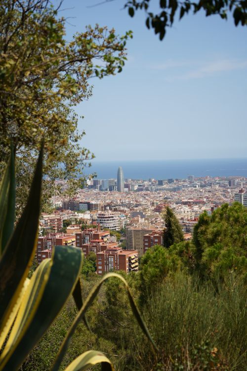 Free A scenic view of Barcelona cityscape featuring Torre Glòries and the Mediterranean Sea framed by lush greenery. Stock Photo