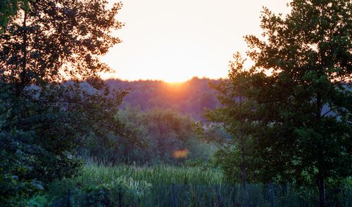 Free Majestic sunrise over lush Dolistowo Nowe landscape with vibrant summer colors. Stock Photo