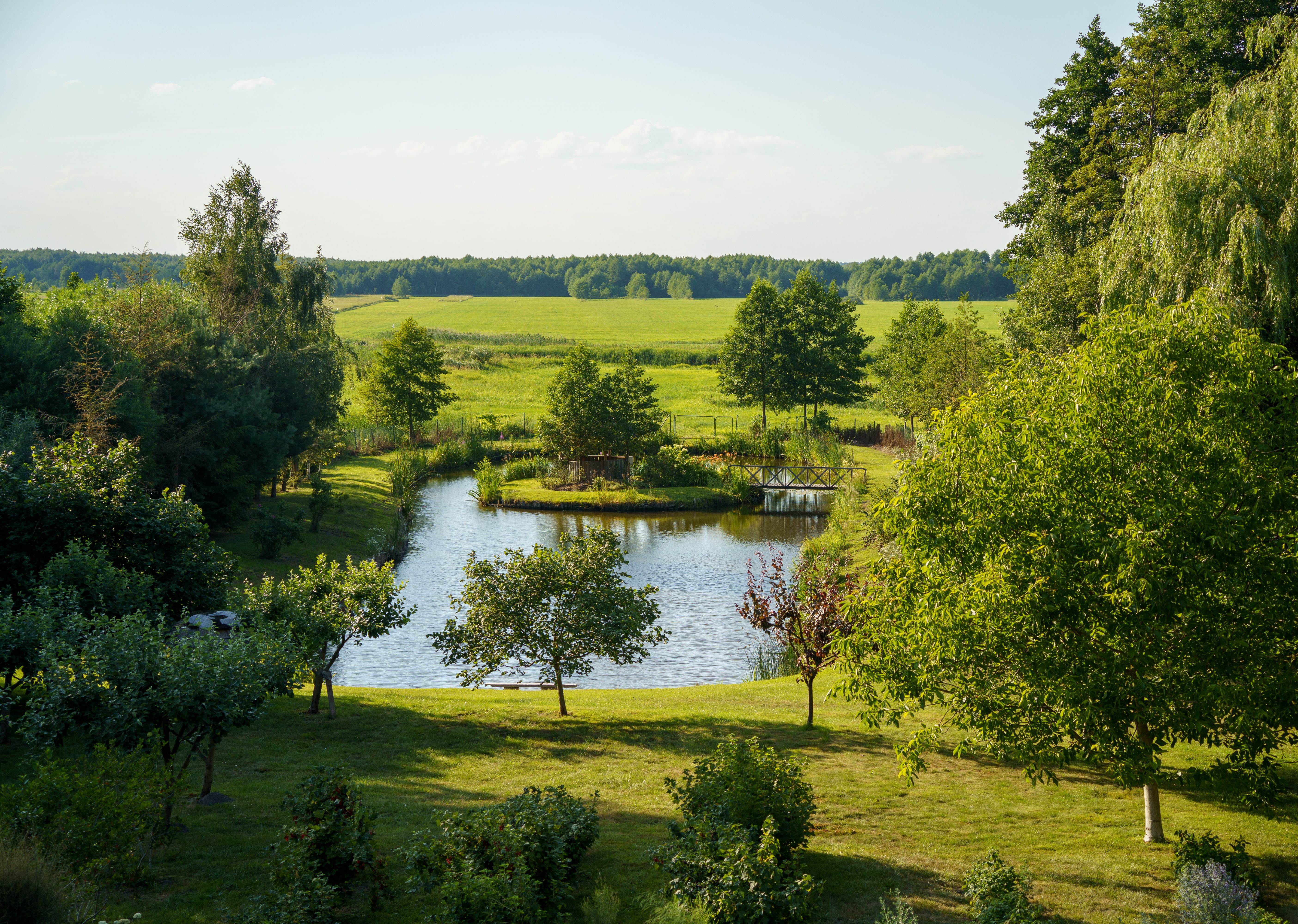 Pond in Rural Landscape · Free Stock Photo