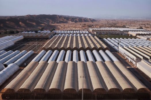 Drone shot capturing the expansive layout of greenhouses in a desert landscape.