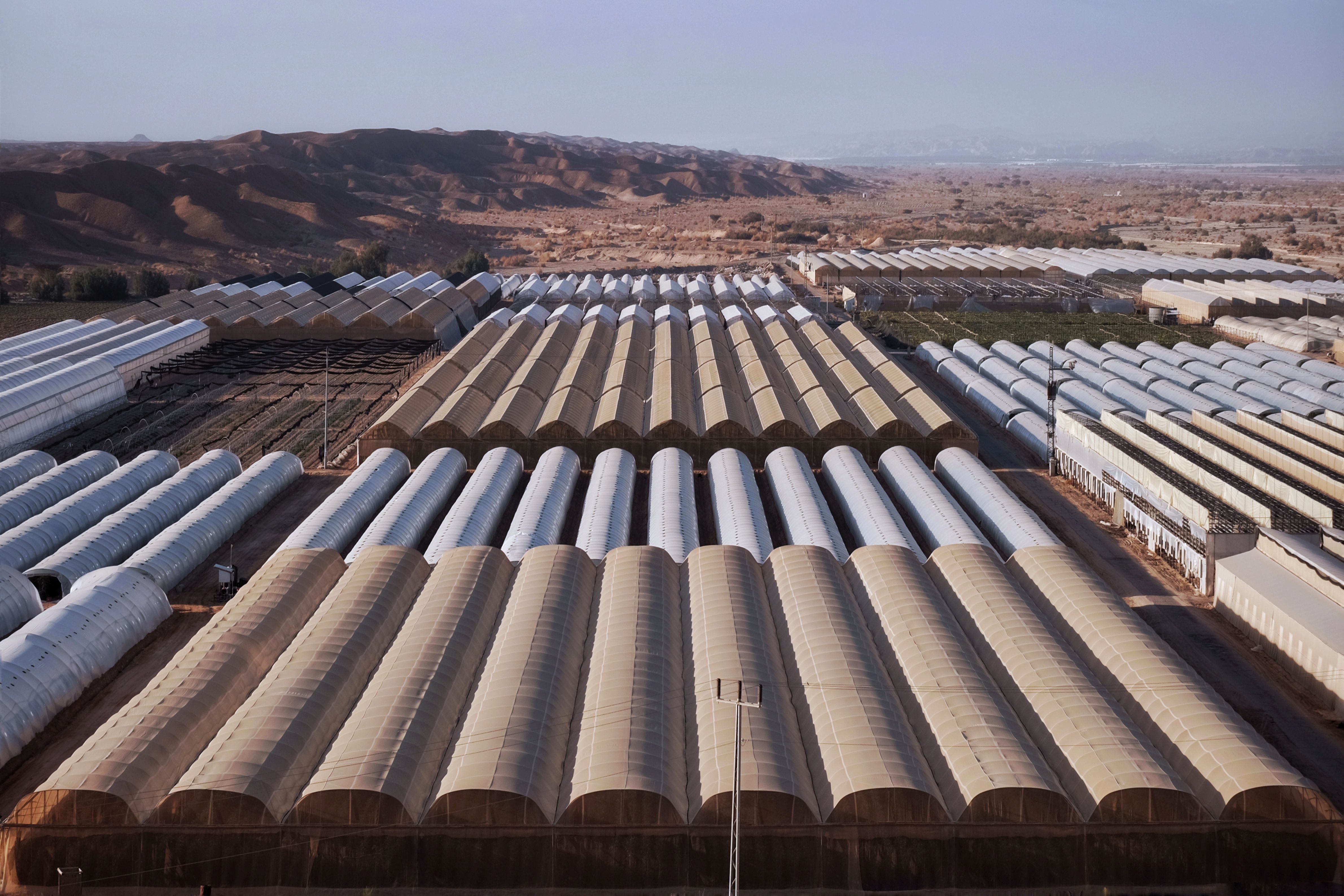 Greenhouses in Israel · Free Stock Photo