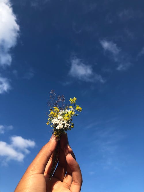 tiny bouquet