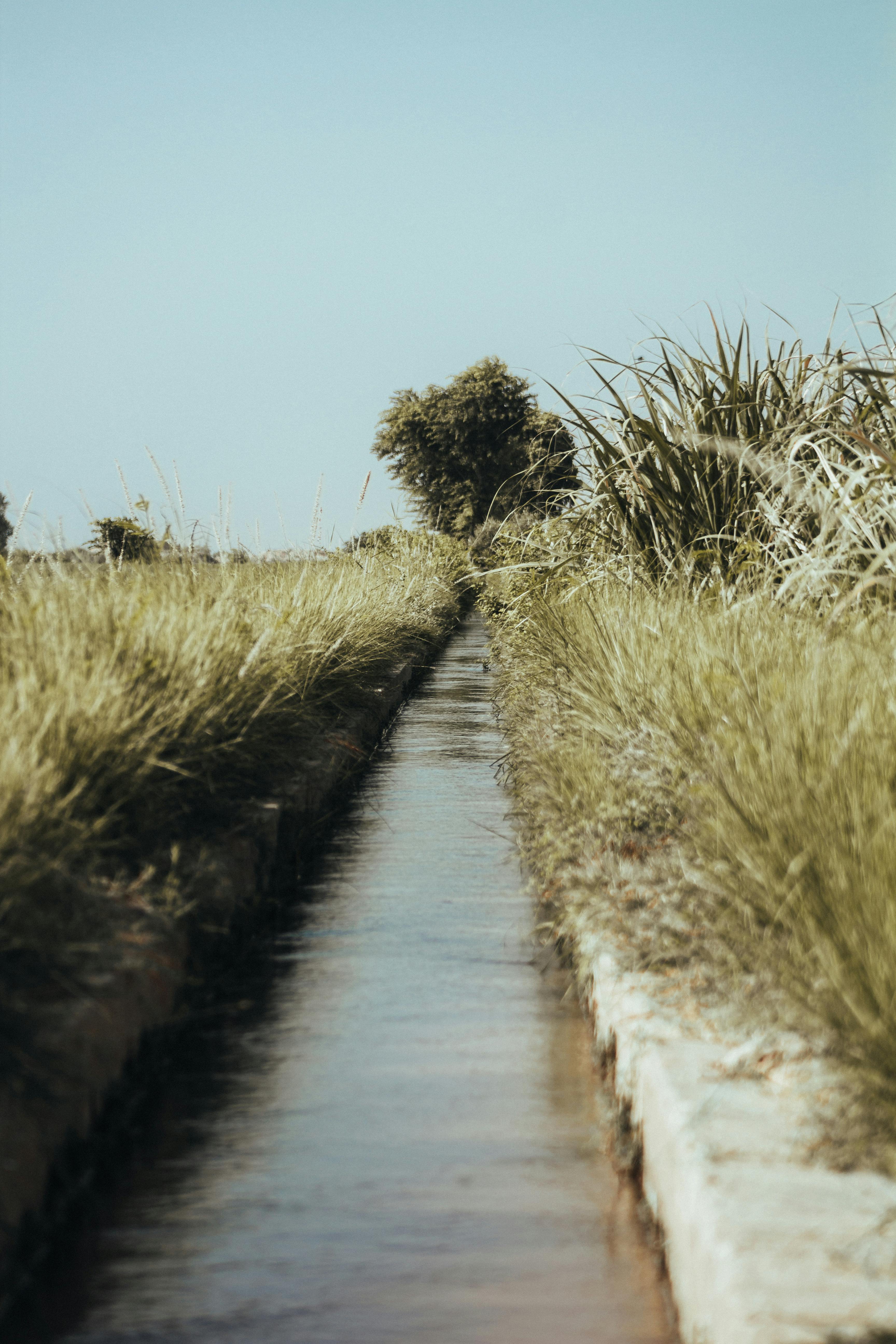 an irrigation system in a field