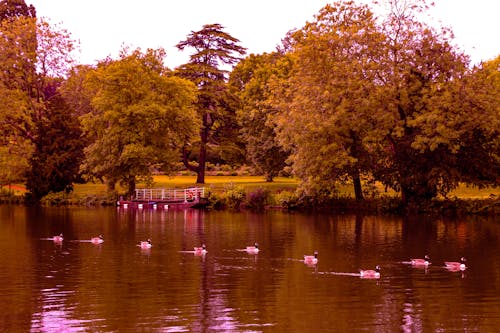 Free stock photo of river, thames, thames promenade