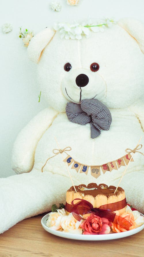 Fotobanka s bezplatnými fotkami na tému biely medvedík, narodeninová torta, oslava