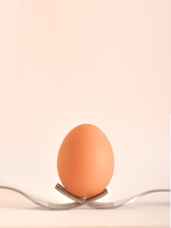 Free Egg on Gray Stainless Steel Forks Stock Photo