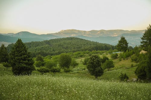 丘陵, 夏天, 山 的 免費圖庫相片