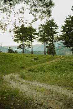 A serene rural scene with a grassy pathway leading through a lush green landscape. Ideal for nature themes.
