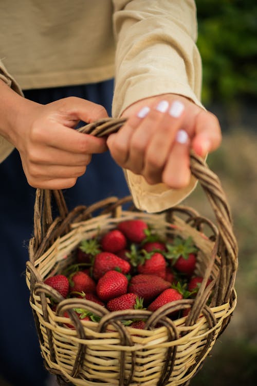 Woman Holding a Basket with Strawberries 