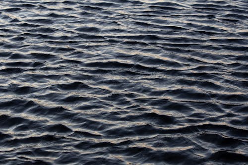 無料 川, 水, 水域の無料の写真素材 写真素材