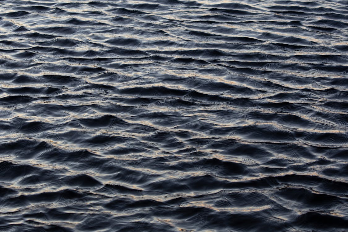 Бесплатное стоковое фото с вода, водоем, море