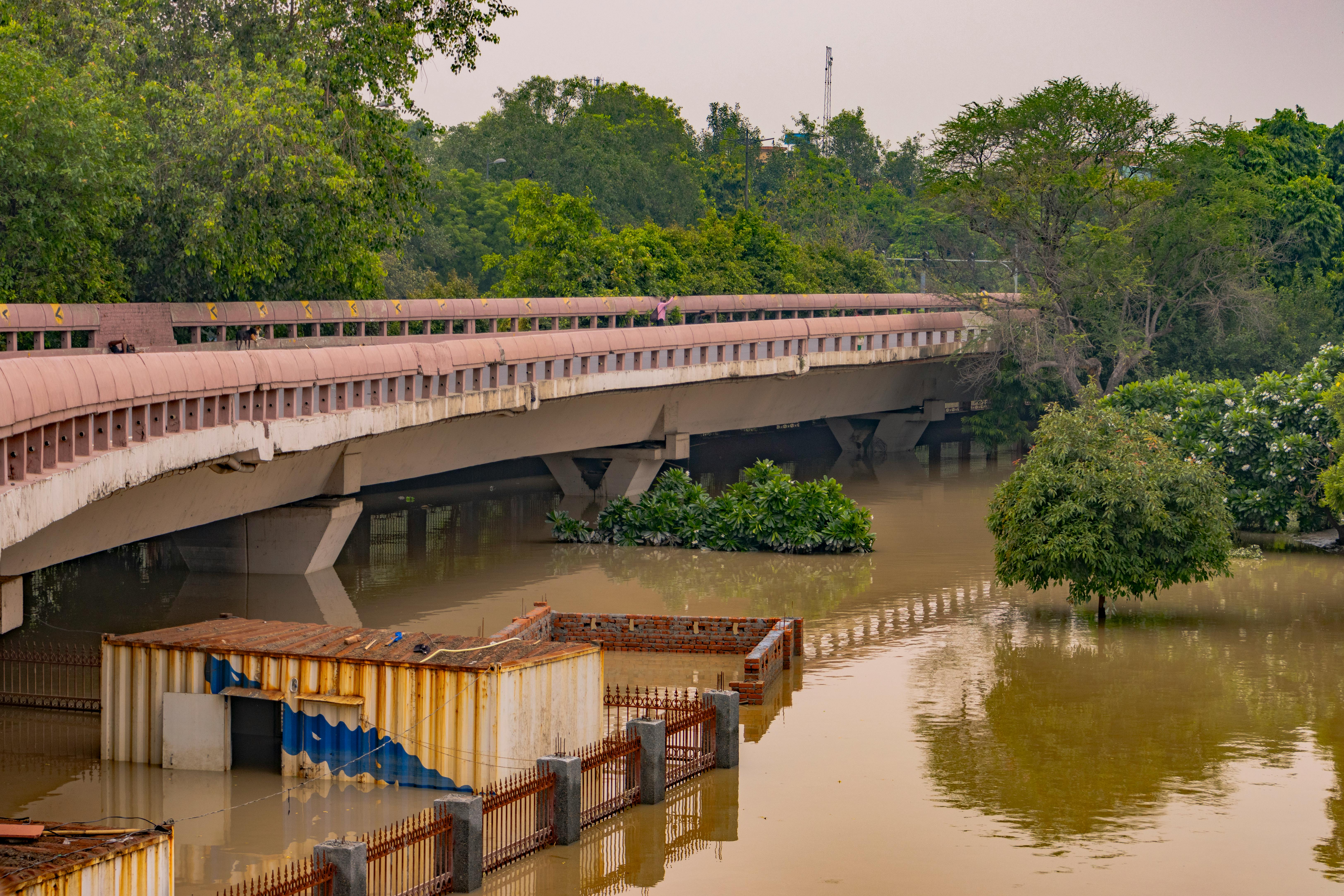 Flooded area under a bridge in New Delhi, surrounded by trees and murky water