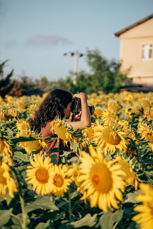 Woman with a Camera Standing in a Sunflower Field 