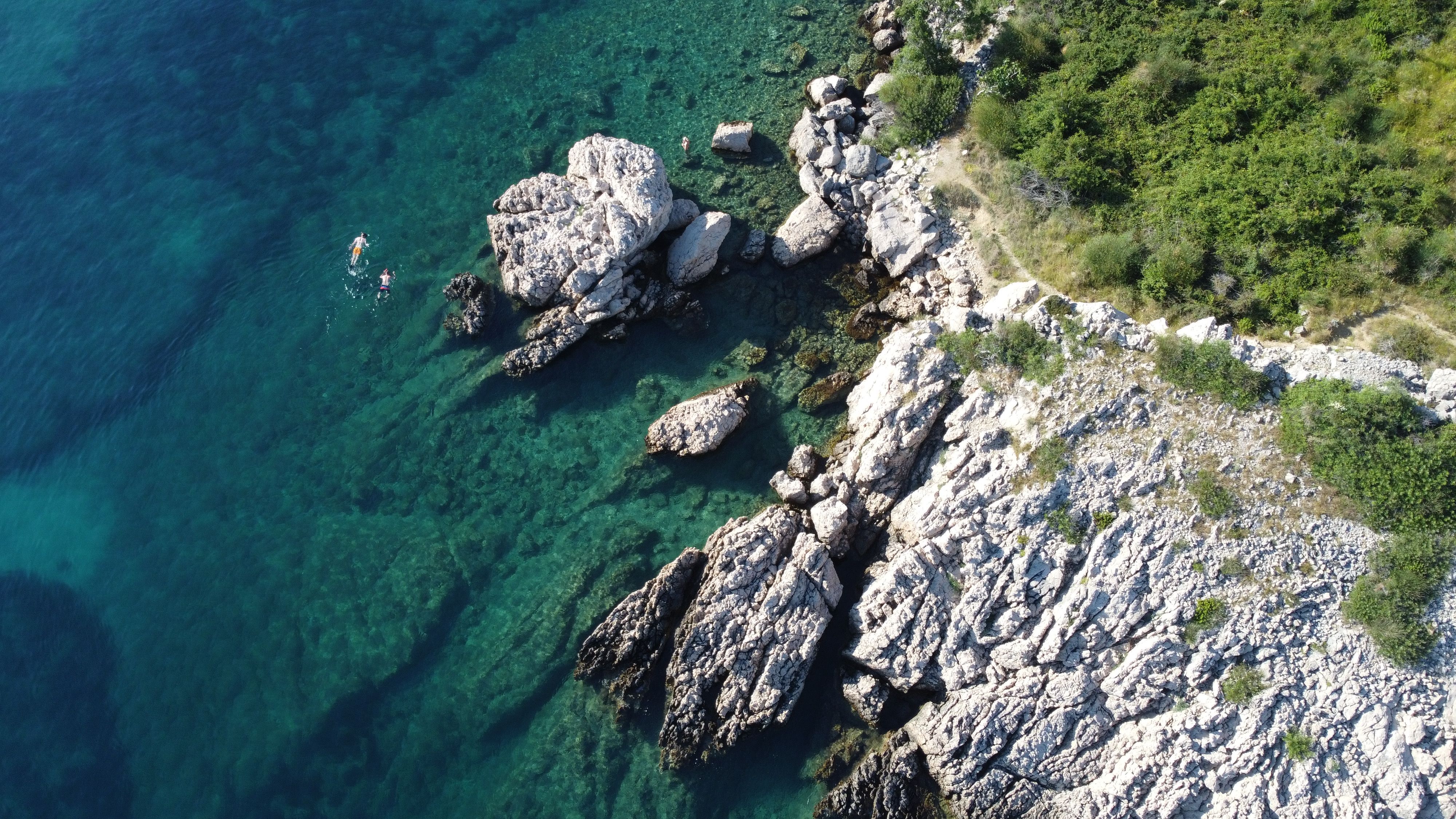 Nurkowanie i snorkeling