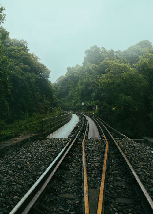 Free A tranquil railway track meandering through a lush forest on a misty morning. Stock Photo