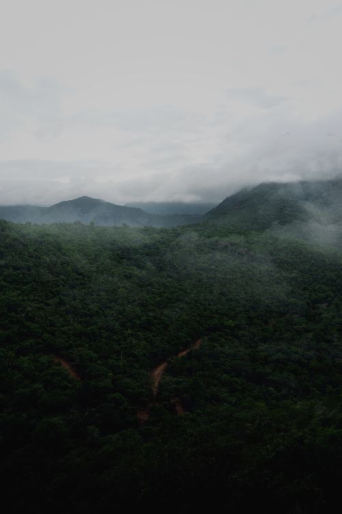 Free Stunning aerial shot of forested hills with mist, evoking serenity and natural beauty. Stock Photo