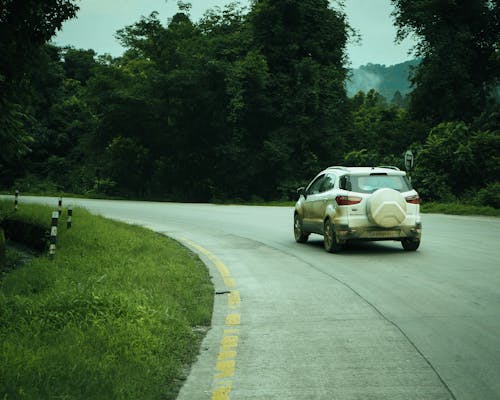 White Ford EcoSport on Road in Forest